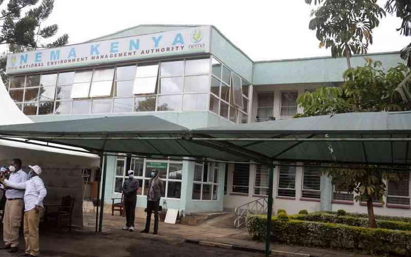 Activist sues Nema for allowing tycoon to construct wall on wetland